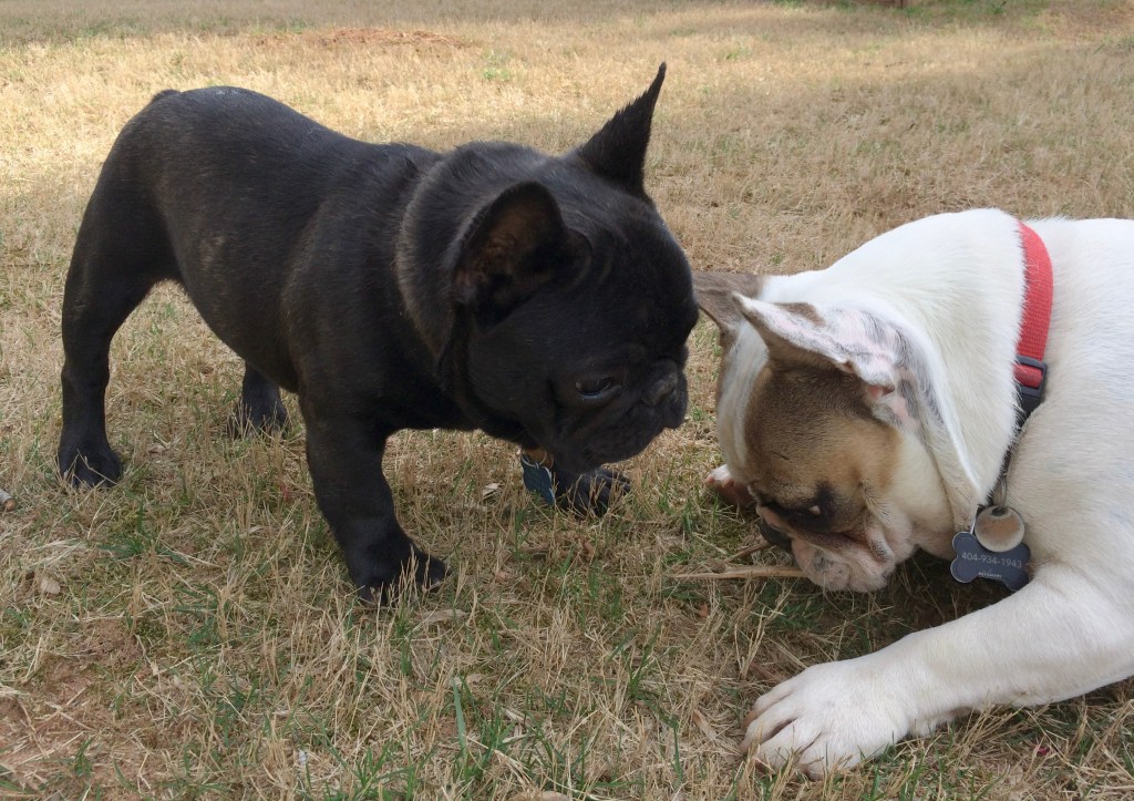 The Art of&nbsp;Connection